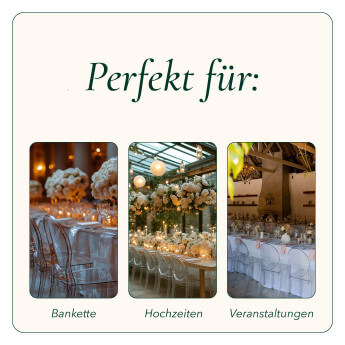 Bankettstuhl Queen - Transparent (getönt) 5